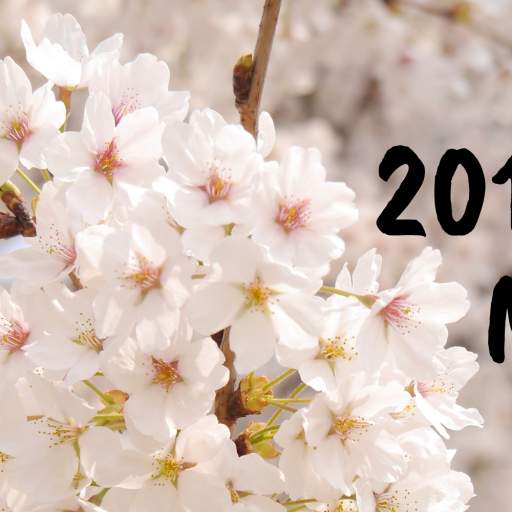 Spring Newsletter 2019